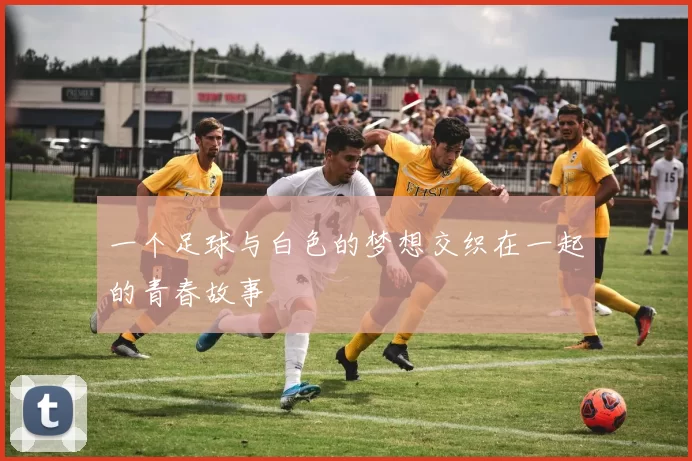 一个足球与白色的梦想交织在一起的青春故事