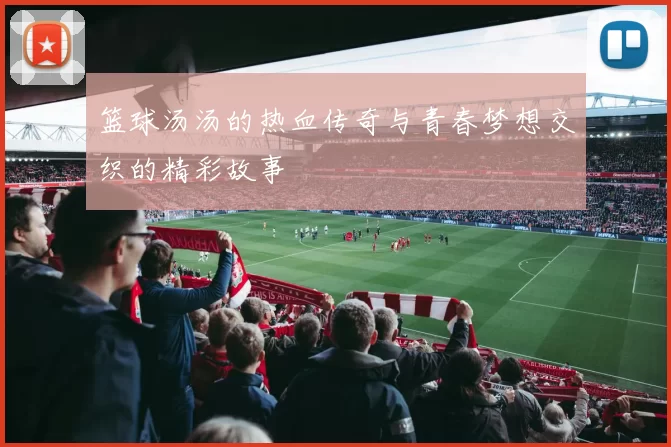 篮球汤汤的热血传奇与青春梦想交织的精彩故事