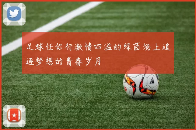足球任你行激情四溢的绿茵场上追逐梦想的青春岁月