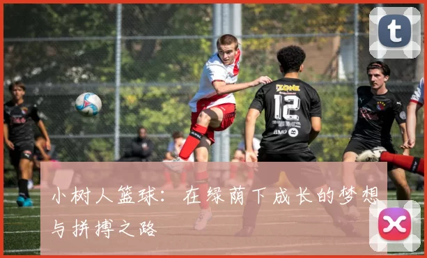 小树人篮球：在绿荫下成长的梦想与拼搏之路